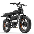 Lankeleisi x-Black Knight 1000W 2 Dual Motor 20 In. Fat Bike Fully E-Mountainbike 45Ah