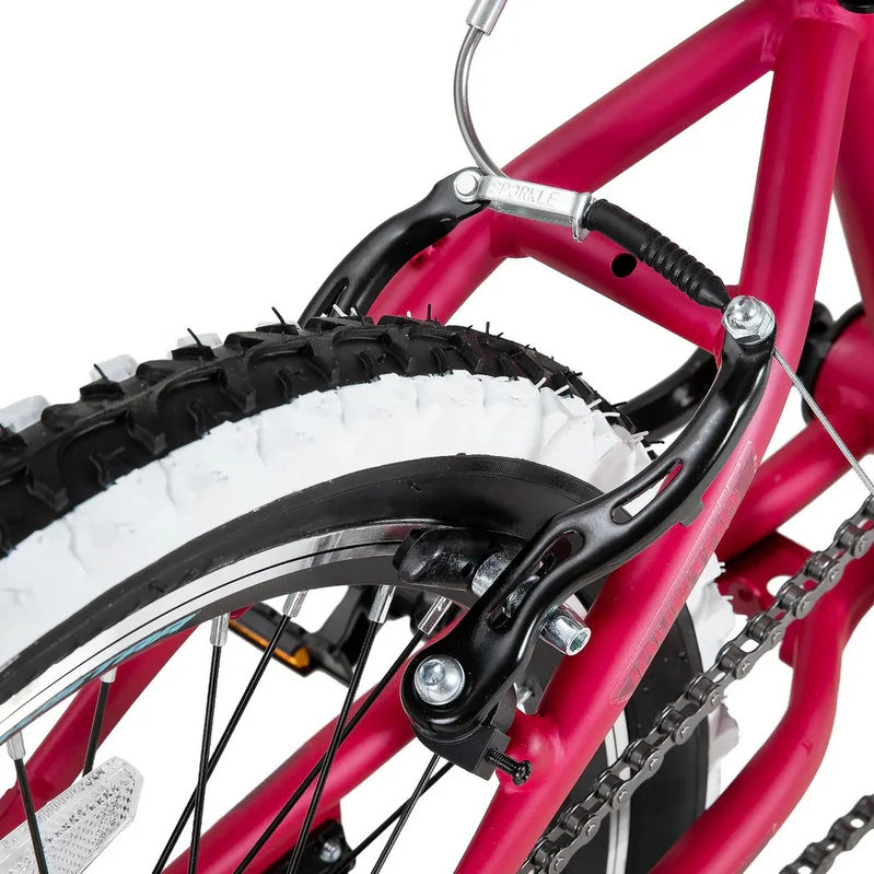 Joystar Lubbock 20 In. 24 In. Kids Mountain Bike Single Speed Bicycle