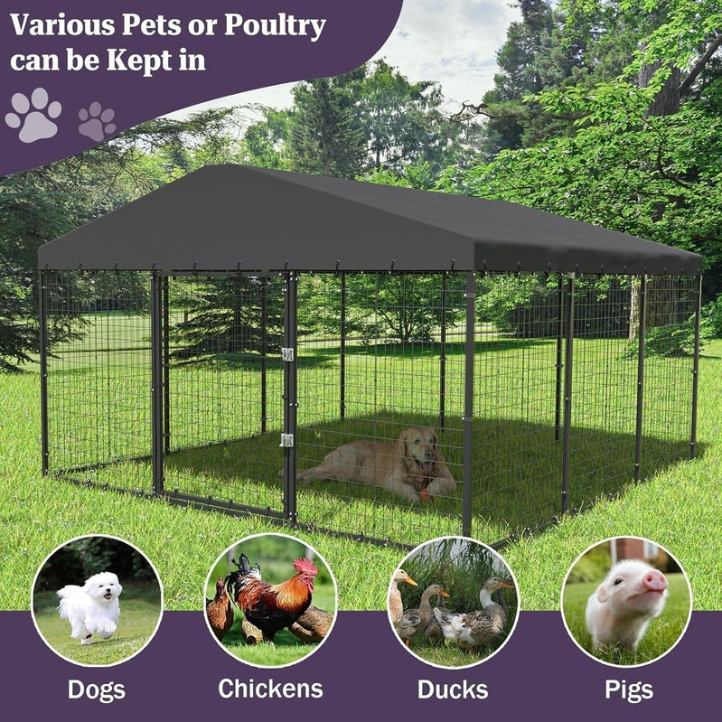 W 118 x D 118 x H 70 Large Outdoor Dog Kennel, Heavy Duty Dog Cage Enclosure With Waterproof Roof