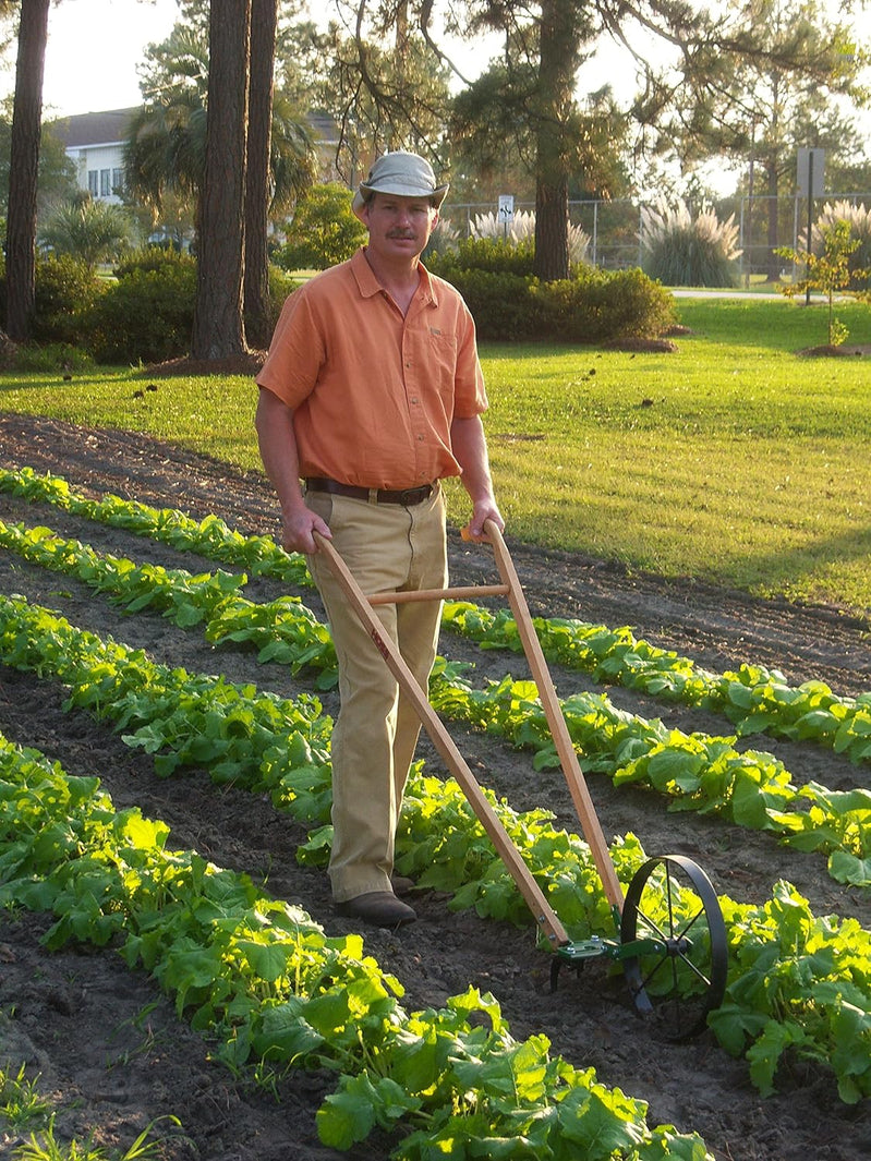 Single Wheel Hoe, Cultivate, Weed, Plow And Maintain Your Garden