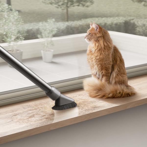 Dyson V12 Detect Slim Plus Cordless Vacuum Cleaner