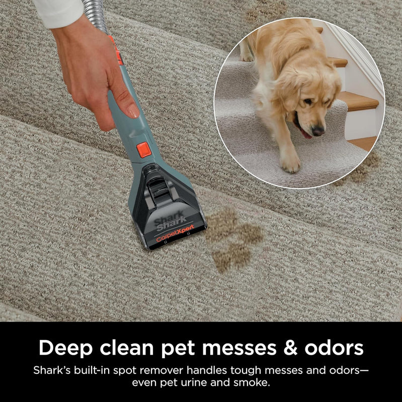 Shark CarpetXpert EX201 Carpet Cleaner, Cyan, Deep Cleaning With StainStriker, For Pets, Includes Spot And Stain Remover Tools