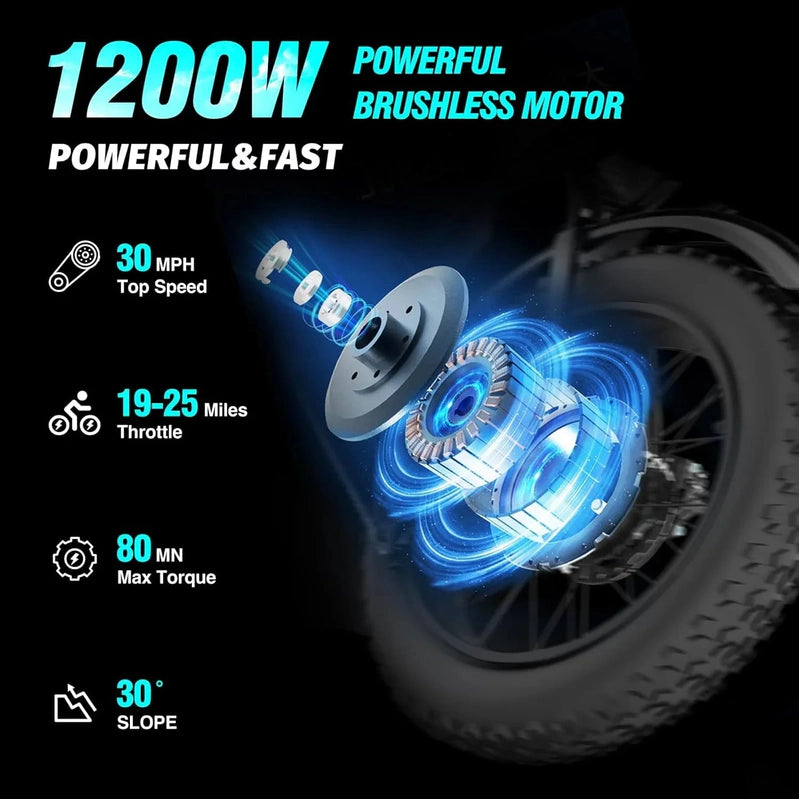 Ridstar Electric Bicycle For Adults, 1200 W, 48 Km/H Mountain Bike, 48 V 15.6 Ah Battery, 20 In. Fat Bike Tires, 7-speed Full Suspension