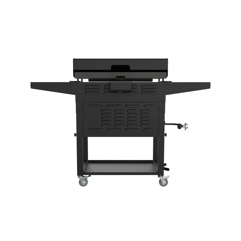 Blackstone 2-Burner 28 In. Griddle With Electric Air Fryer And Hood