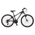 Schwinn Boy Ranger 24 Mountain Bike, Silver Red