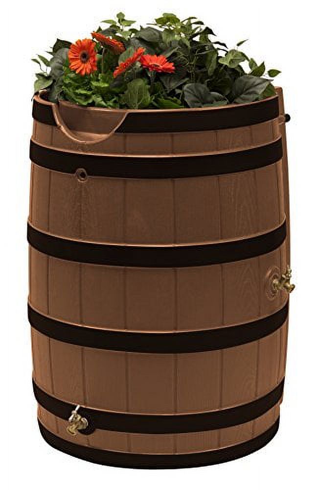 Good Ideas Rain Wizard 65 Gallon Rain Barrel With Darkened Ribs, Terra Cotta