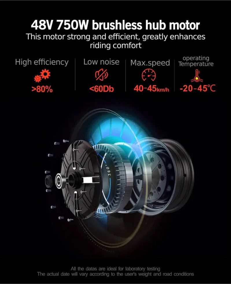 Outdoor Electric Bike With 48V/15Ah Lithium Battery