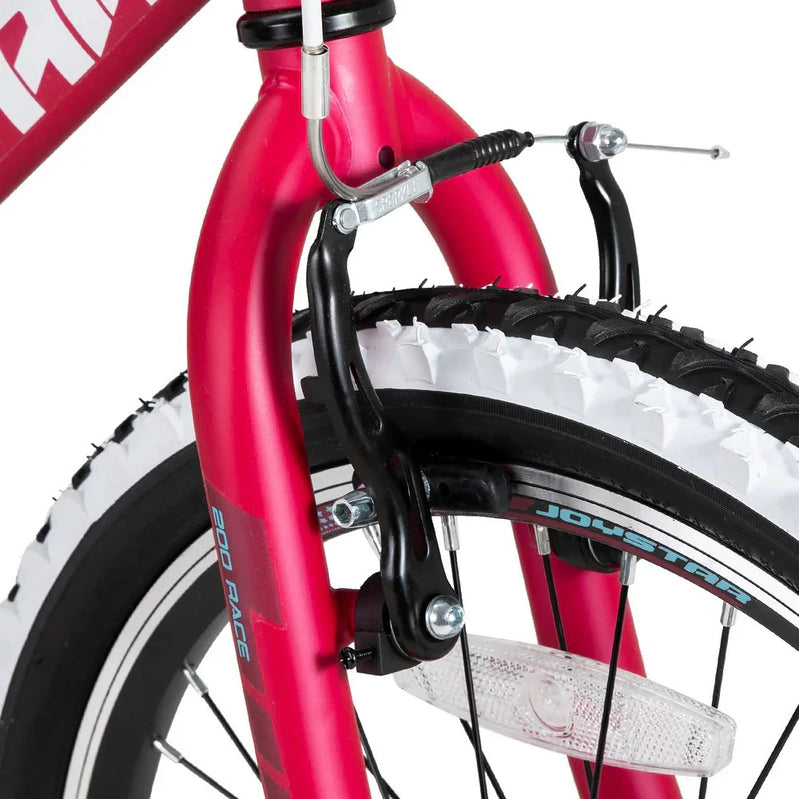 Joystar Lubbock 20 In. 24 In. Kids Mountain Bike Single Speed Bicycle